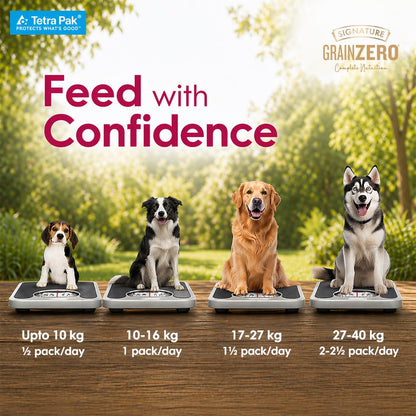 Grain Zero Dog Fresh Food Tetra Pak Real Chicken & Turkey Delight, for Adult & Puppy, 350g | Supports Joint & Health | Anti-Inflammatory Properties | Ready to Serve | One Pack One Meal