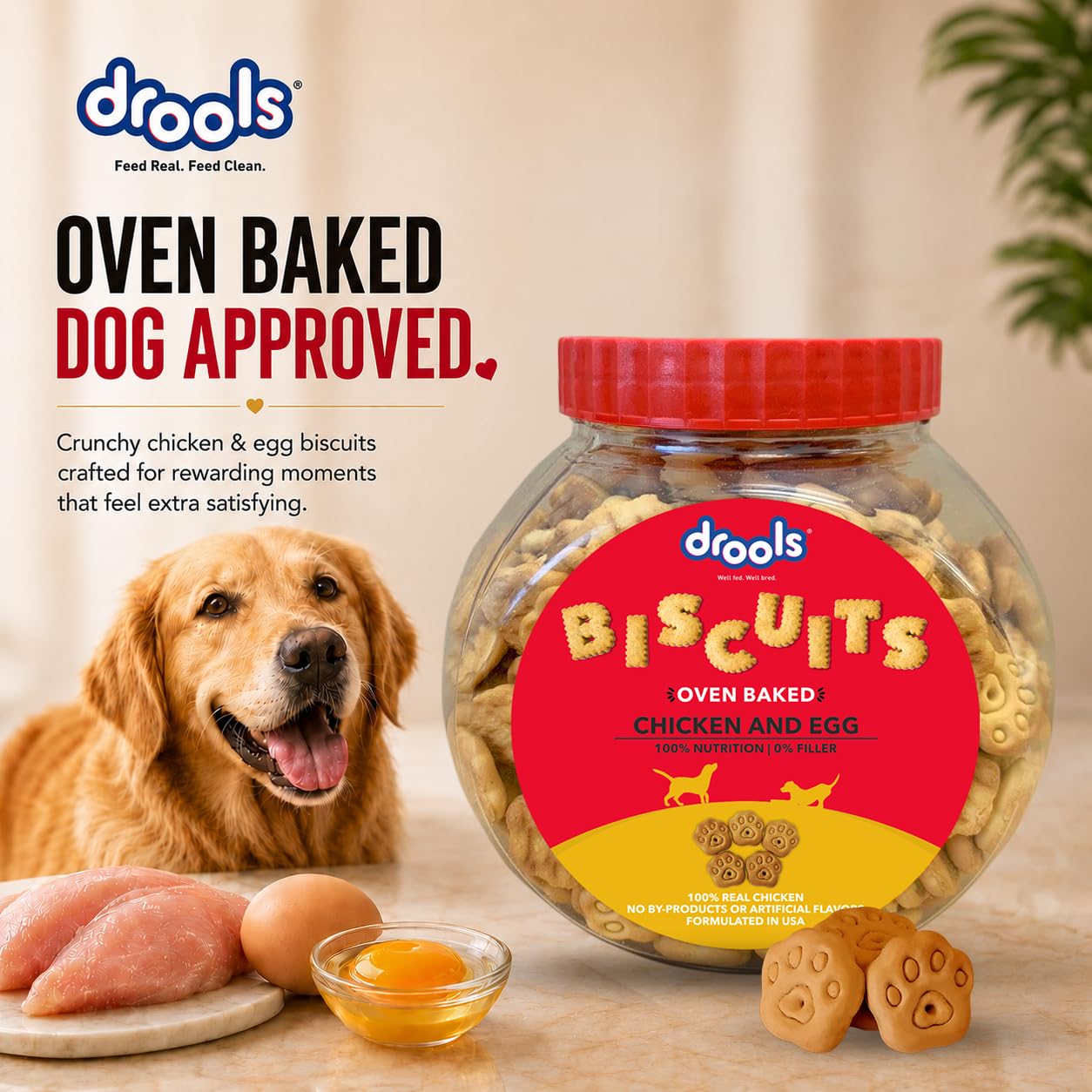 Drools All Life Stages Dog Treat Biscuits 400g Jar | Real Chicken Flavour | All Breed Formula | Promotes Lustrous Skin & Coat | Vitamins & Minerals | Reduces Tartar Build Up