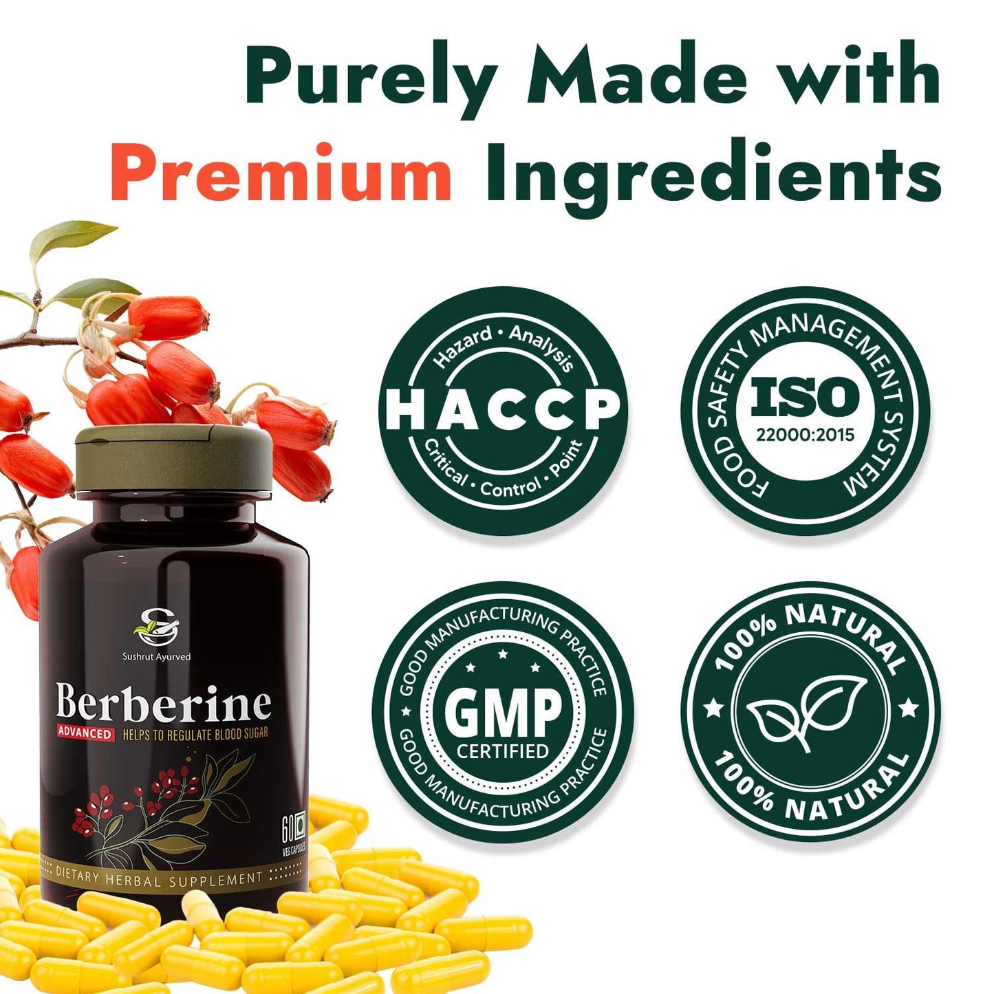 Berberine Advanced 500mg Capsules for Glucose Balance, Optimal Metabolism & Weight Management – Plant-Based Formula with Banaba, Piperine & Cinnamon Extracts [Vegan Friendly] (Pack of 1 - 60 Capsules Each)