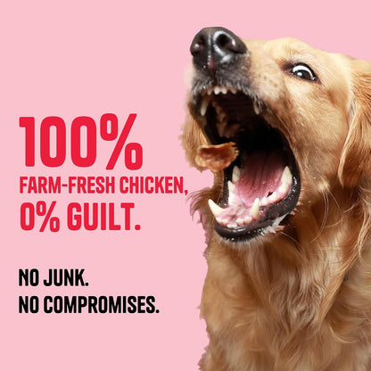 Muttley Crew Dog Jerky Lean Chicken Meat | Healthy Adult Dog Treats for Easy Digestion | All Natural | Grain-Free | Gluten-Free | No Preservatives | No Artificial Flavour (75g)