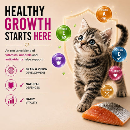 Grain Zero Mother & Kitten Dry Cat Food 400g | Ocean Fish, Sardine & Mackerel | DHA for Brain Development, 48% Fresh Fish Inclusion | Promotes Healthy Skin & Coat