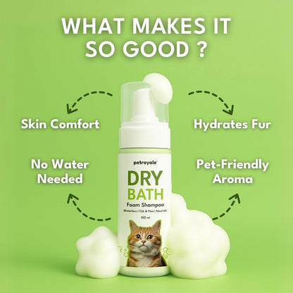Petroyale Dry Bath Foam Shampoo for Cats - Dry Shampoo for Cats - Tick, Flea & Itch Relief - Dentangling Foam Shampoos for Quick Bath | 150ml