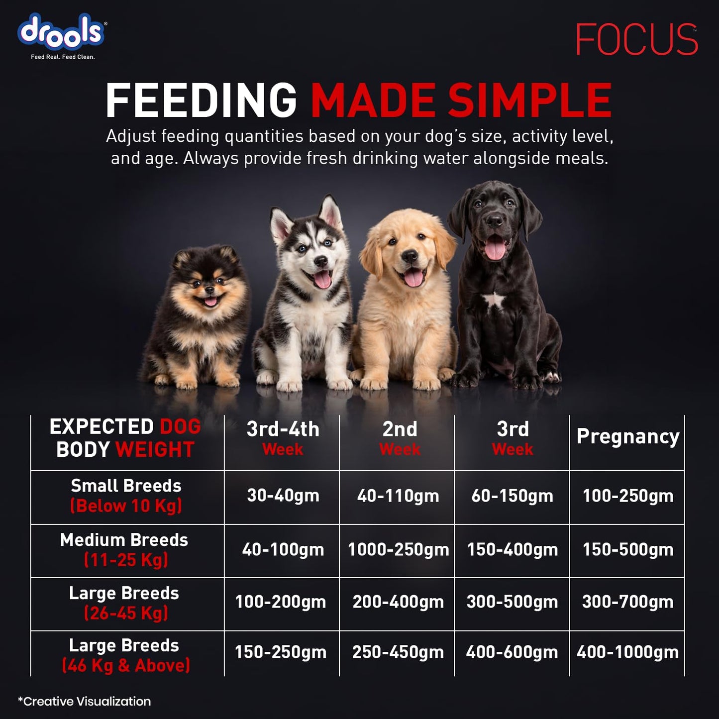Drools Focus Starter Super Premium Dry Dog Food 1.2kg Pack | Chicken Flavour | Brain Development | Antioxidants like Vitamin E & C | Energy and Essential Nutrients