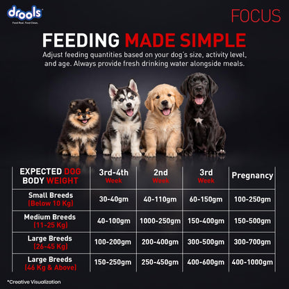Drools Focus Starter Super Premium Dry Dog Food 1.2kg Pack | Chicken Flavour | Brain Development | Antioxidants like Vitamin E & C | Energy and Essential Nutrients