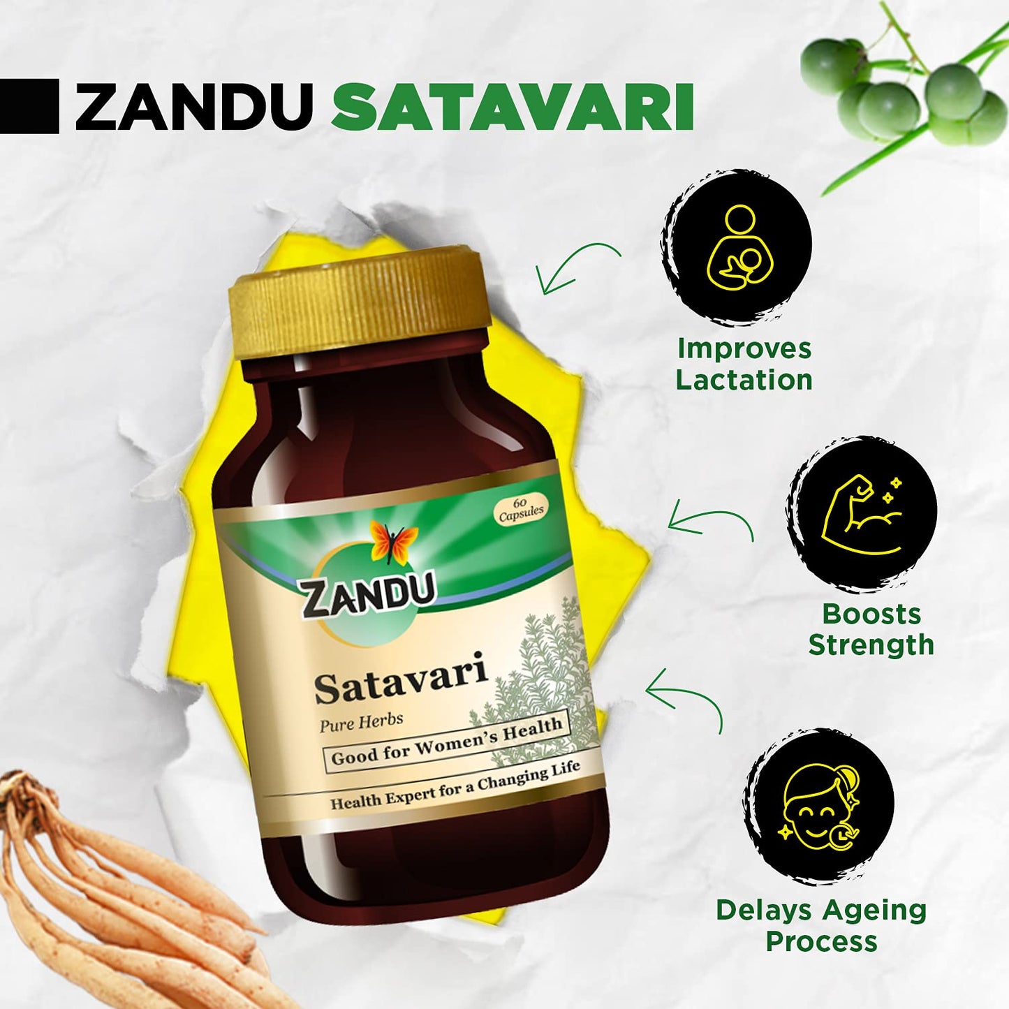 Zandu Satavari Capsules, With Natural Satavari Extracts, Useful for Women's Wellness - 60 Veg Capsules