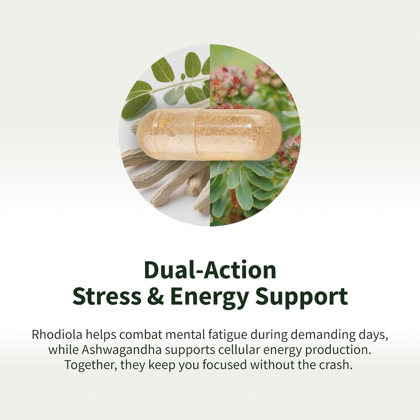 Capsule with herbs on a white background, labeled 'Dual-Action Stress & Energy Support'.