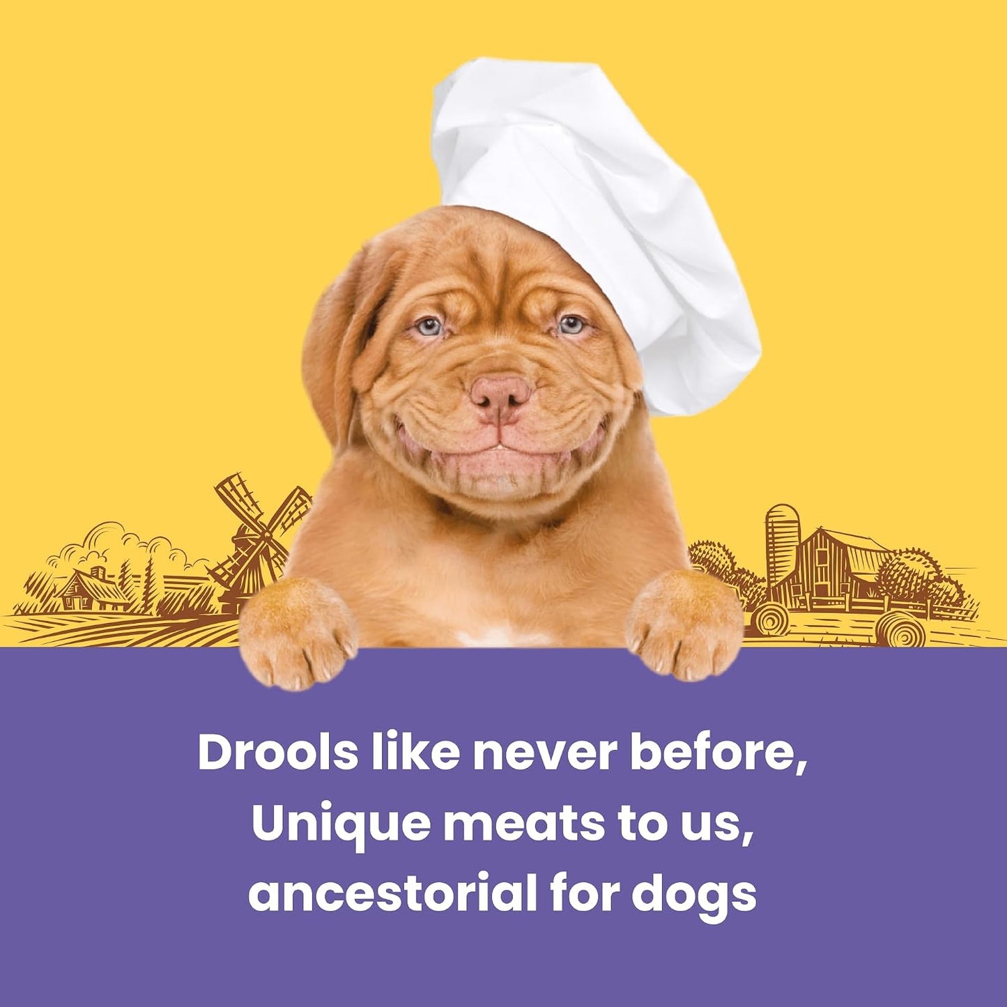 Barkbutler x Dogfest Dog Training Treats, Rabbit & Pumpkin Seeds, Superfood Dog Treats for Adult Dog, Bite-Sized Treats for Puppies, Dog Treat, Aids Digestion & Boosts Immunity