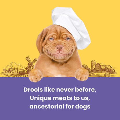 Barkbutler x Dogfest Dog Training Treats, Rabbit & Pumpkin Seeds, Superfood Dog Treats for Adult Dog, Bite-Sized Treats for Puppies, Dog Treat, Aids Digestion & Boosts Immunity