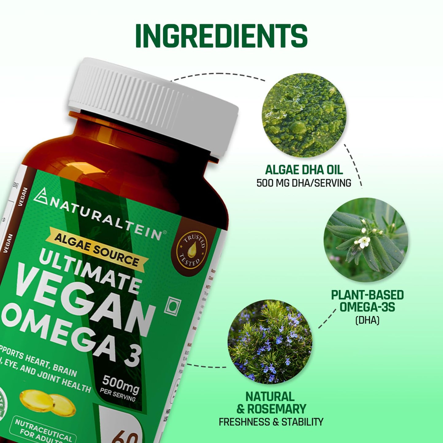 Vegan Omega 3 supplement bottle with ingredients highlighted on a green background