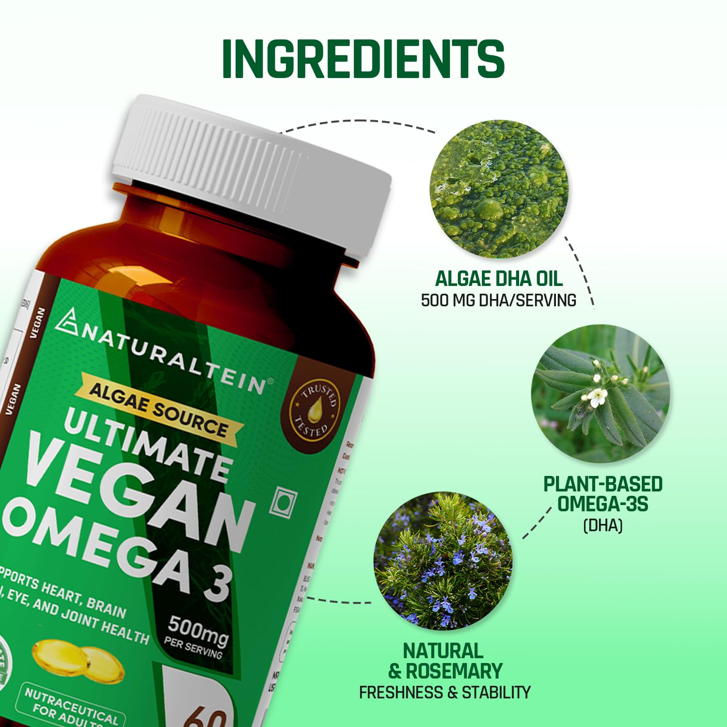 Vegan Omega 3 supplement bottle with ingredients highlighted on a green background