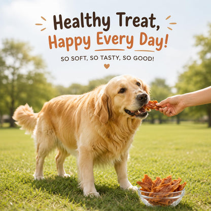 PAWPOURRI Natural Chicken Jerky Soft Dog Treats for All Breeds & Sizes | Daily Use Dog Treats | High Protein Chewy Training & Reward Snacks (Chicken Jerky Soft, Pack of 1) 100gm