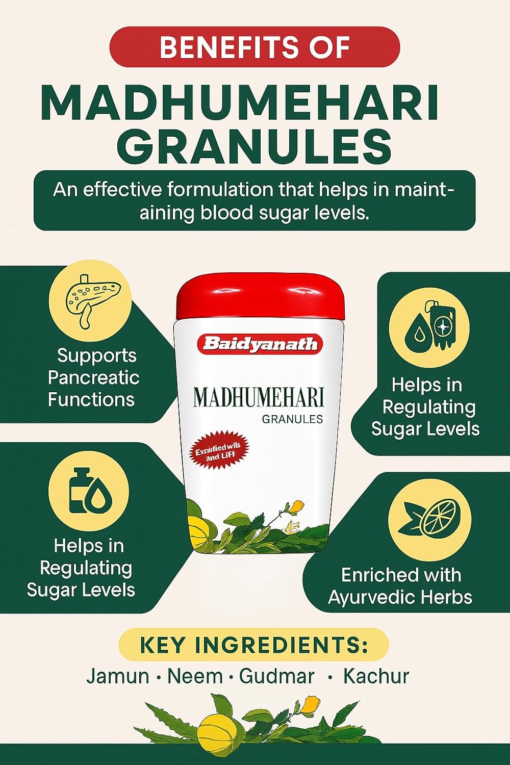 Baidyanath asli ayurved jhansi Madhumehari Granules - 100g Diabetes Care