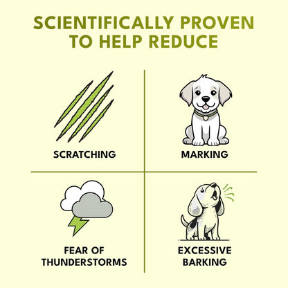 Petroyale Calming Chews for Dogs | Reduces Stress & Aggression in Dogs | Dog Behaviour Management | Non-Drowsy | Anti-Anxiety & Long-Lasting Relief | Suitable for Daily Use | 20 Soft Chews