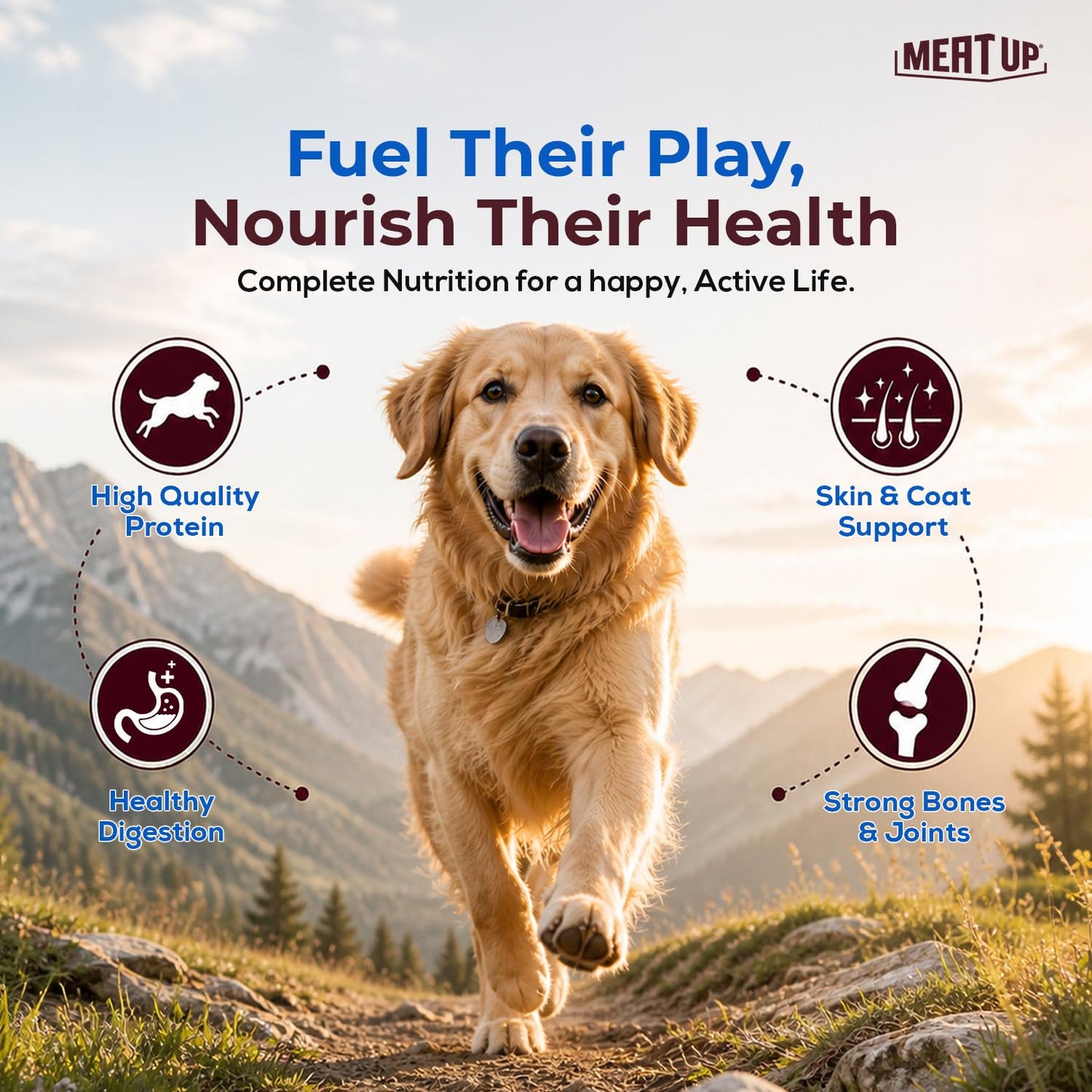 Meat Up Adult Dry Dog Food 1.2kg | Chicken Flavour | Healthy Skin & Coat | Antioxidants | Enriched with Vitamins & Minerals