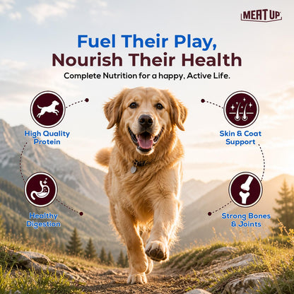 Meat Up Adult Dry Dog Food 1.2kg | Chicken Flavour | Healthy Skin & Coat | Antioxidants | Enriched with Vitamins & Minerals
