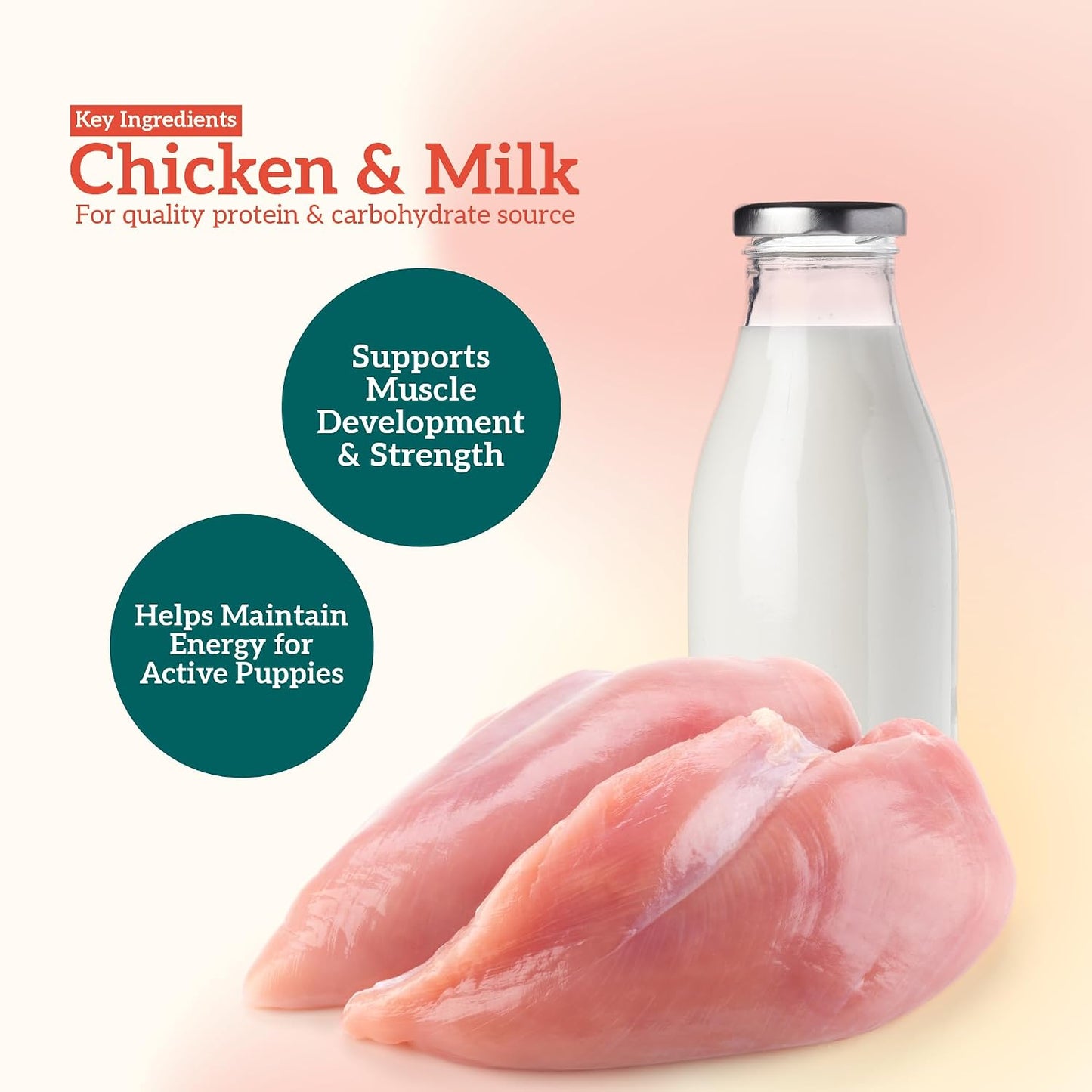 Himalaya Healthy PET Food for Puppies | Chicken & Milk | 1.2kg | Complete & Balanced Nutrition with Black Pepper, Oats & Papaya