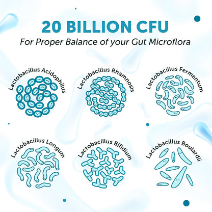 Neuherbs Acidophilus Daily Probiotics with Prebiotic, Blend of six healthy Probiotics (20 Billion CFU) with added Vitamin C, E & Selenium | For Immunity & Gut Health, Capsules 60 Count for Women & Men