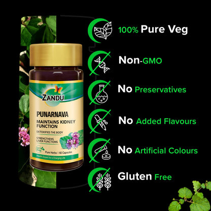 Zandu Punarnava Capsules, With Goodness of Natural Punarnava Extract known for Good Gut Health & for Healthy Appetite, Helps for Heart and Urinary Health - 60 Veg capsules