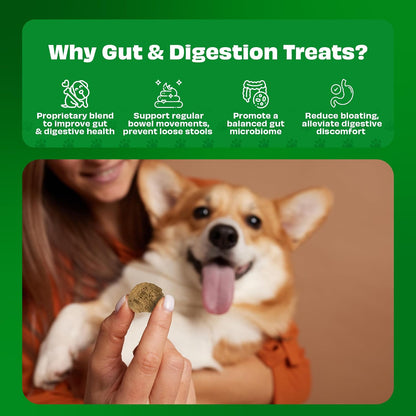Pawfect Yogurt Melties Freeze-Dried Pre and Probiotic Dog Treats with Pineapple, Coconut, Banana, Dandelion - Gut Health - Low Calories Snacks - Grain-Free - Dog Training Treats (38g/1.34oz)