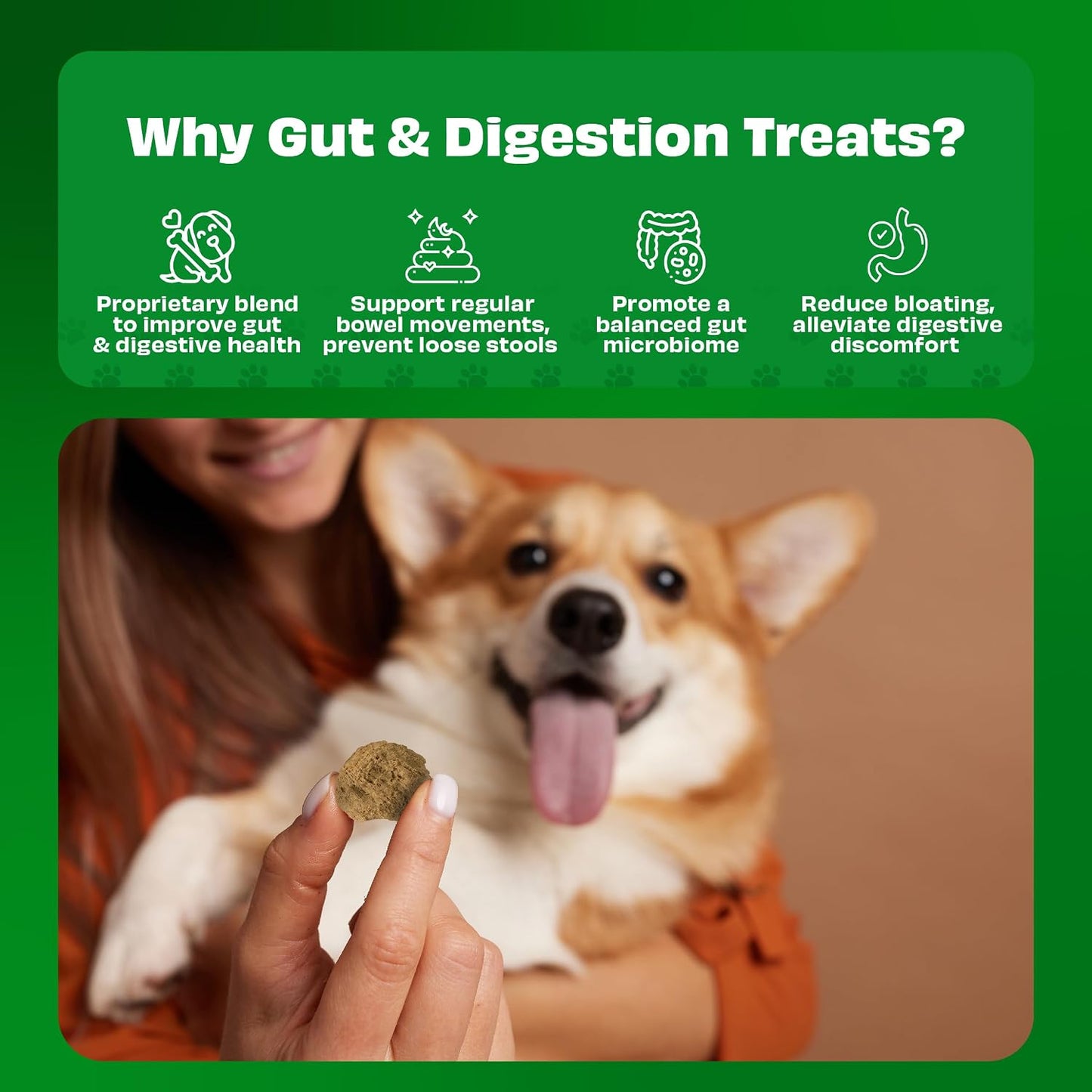 Pawfect Yogurt Melties Freeze-Dried Pre and Probiotic Dog Treats with Yogurt, Strawberry, Apple, Burdock Root and Papaya - Gut Health - Low Calorie Snacks - Grain-Free Dog Training Treats (38g/1.34oz)