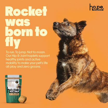 Hope Hip & Joint Health Supplement Dogs 30 Vegan hoplets | Pet Chews with Glucosamine, Chondroitin, MSM, Turmeric| Cold-Pressed | Air-Dried | Hypoallergenic | Dog Supplement |Honest Pet Co