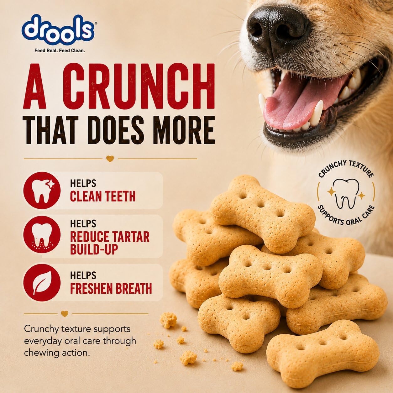 Drools All Life Stages Dog Treat Biscuits 800g Jar | Real Chicken Flavour | All Breed Formula | Promotes Lustrous Skin & Coat | Vitamins & Minerals | Reduces Tartar Build Up