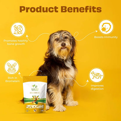 Pawfect Nature's Munch Freeze-Dried Tangy Pineapple Treats for Dogs | Hypoallergenic Dog Treats, Grain-Free | Healthy Dog Treats (40g)