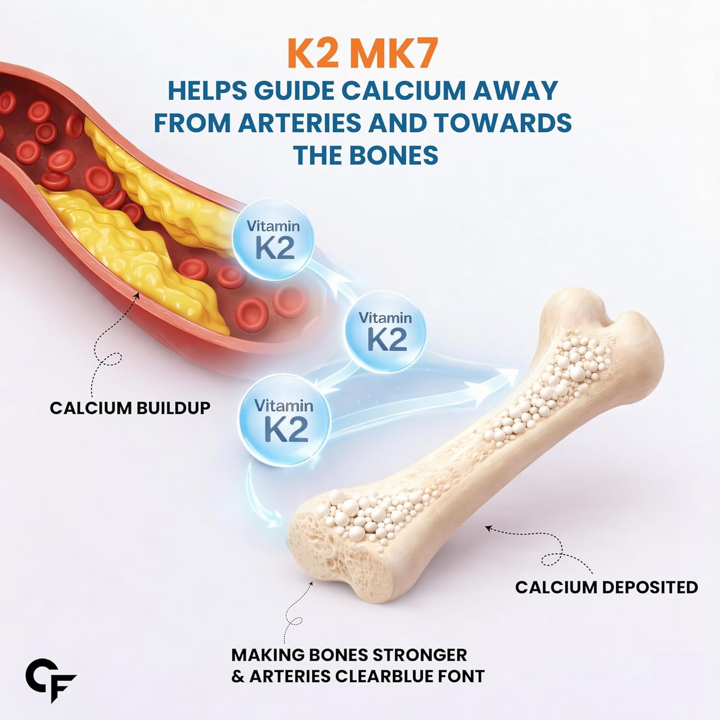 Diagram showing how Vitamin K2 MK7 helps guide calcium away from arteries towards bones, with a bone and artery illustration.