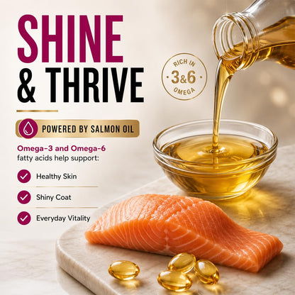 Grain Zero Persian Dry Cat Food 400g | Ocean Fish, Sardine & Mackerel | 48% Fresh Fish Inclusion, No Grain Formula, Gluten- Free, Hairball Control | for Persian & Long Coat Cats, All Life Stages