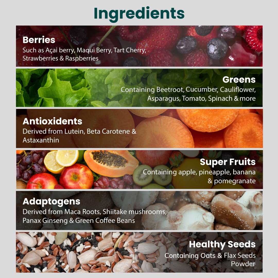 Supply6 360 Ultimate Health Powder for Women & Men | Daily Supplement with 63+Vitamins, Minerals, Probiotics, and Superfoods | Daily Greens | Gut Health supplements, Energy, Immunity (15 Servings)