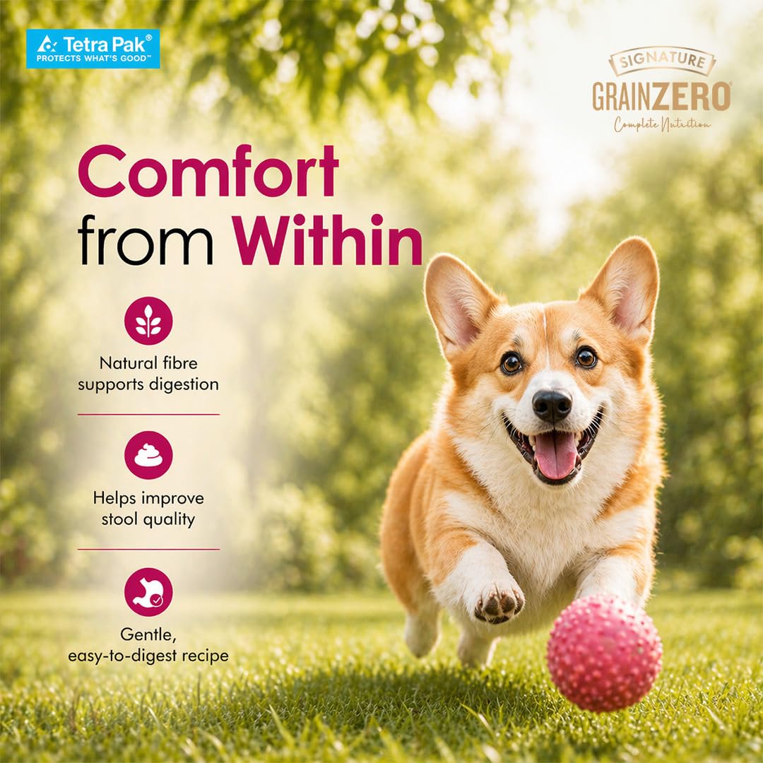 Grain Zero Dog Fresh Food Tetra Pak Real Chicken & Turkey Delight, for Adult & Puppy, 350g | Supports Joint & Health | Anti-Inflammatory Properties | Ready to Serve | One Pack One Meal