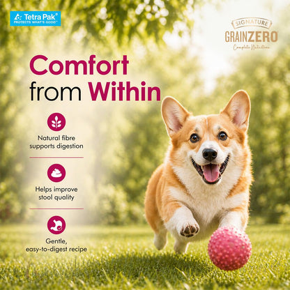 Grain Zero Dog Fresh Food Tetra Pak Real Chicken & Turkey Delight, for Adult & Puppy, 350g | Supports Joint & Health | Anti-Inflammatory Properties | Ready to Serve | One Pack One Meal