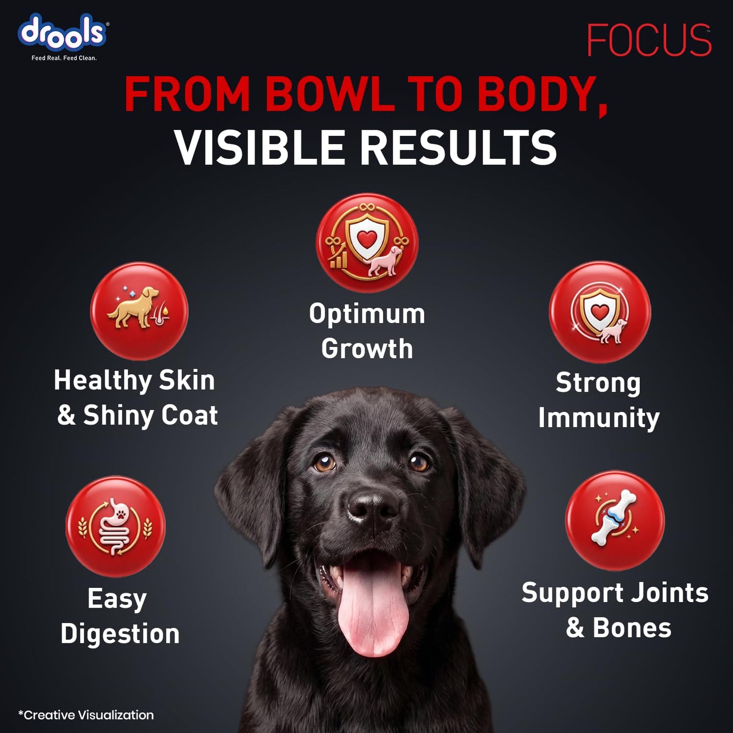 Drools Focus Premium Puppy Dry Dog Food 1.2kg Pack | Chicken Flavour | Growth & Intelligence | Digestive Health | Healthy Skin & Coat | Improves Immunity