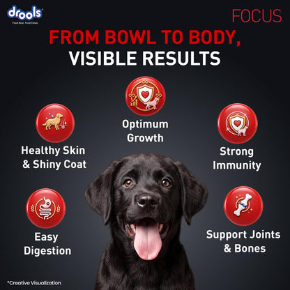 Drools Focus Premium Puppy Dry Dog Food 1.2kg Pack | Chicken Flavour | Growth & Intelligence | Digestive Health | Healthy Skin & Coat | Improves Immunity