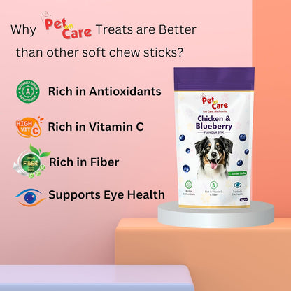 Pet en Care Real Chicken Blue Berry Sticks for Dogs, Natural and Nutritional Treat | High in Proteins | Healthy Snacks for All Breed Dogs