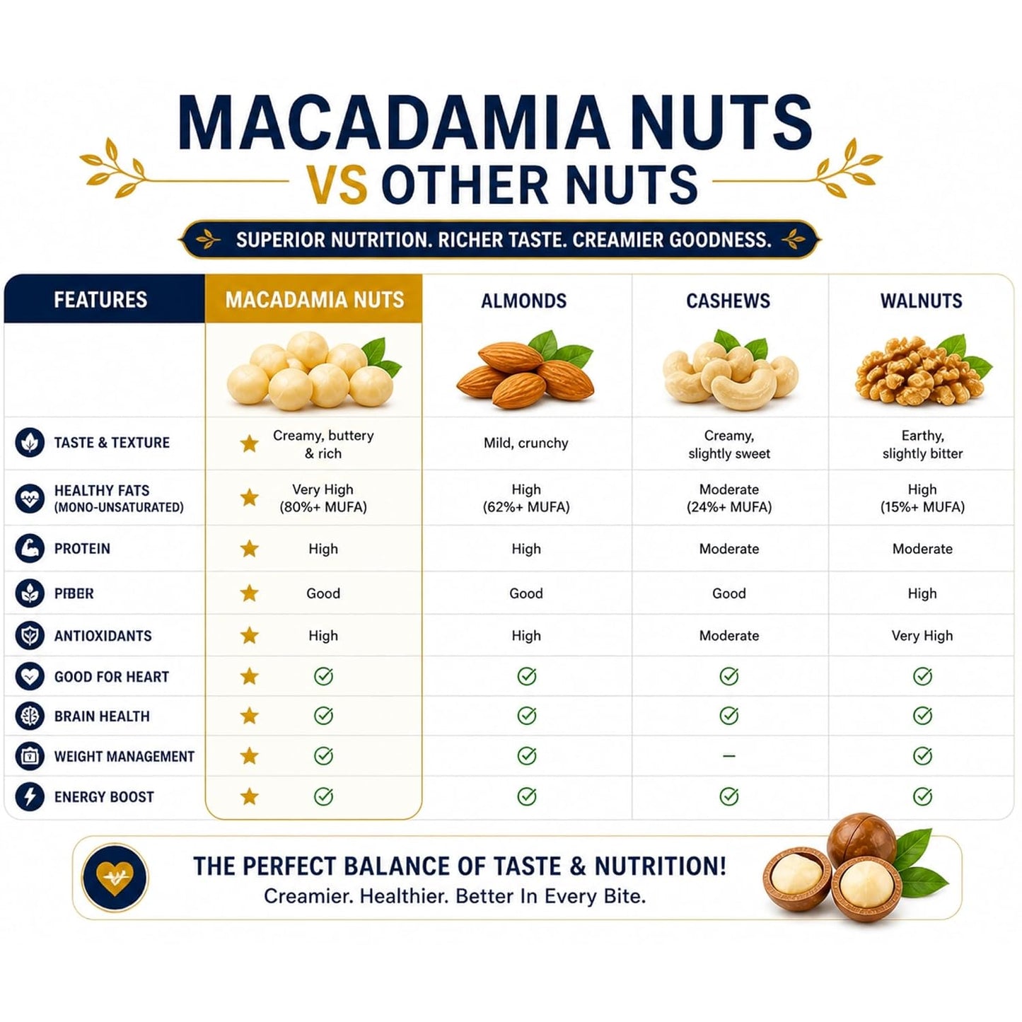Dry Goods Co. Premium Macadamia Nuts | Jumbo Roasted & Salted Macadamia Kernels | Rich Buttery Taste | Healthy Snack | High in Fiber & Good Fats | Ready to Eat Gourmet Dry Fruits