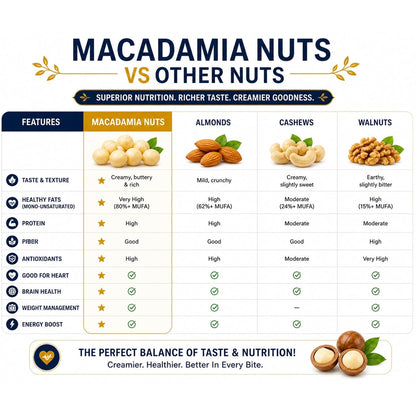 Dry Goods Co. Premium Macadamia Nuts | Jumbo Roasted & Salted Macadamia Kernels | Rich Buttery Taste | Healthy Snack | High in Fiber & Good Fats | Ready to Eat Gourmet Dry Fruits