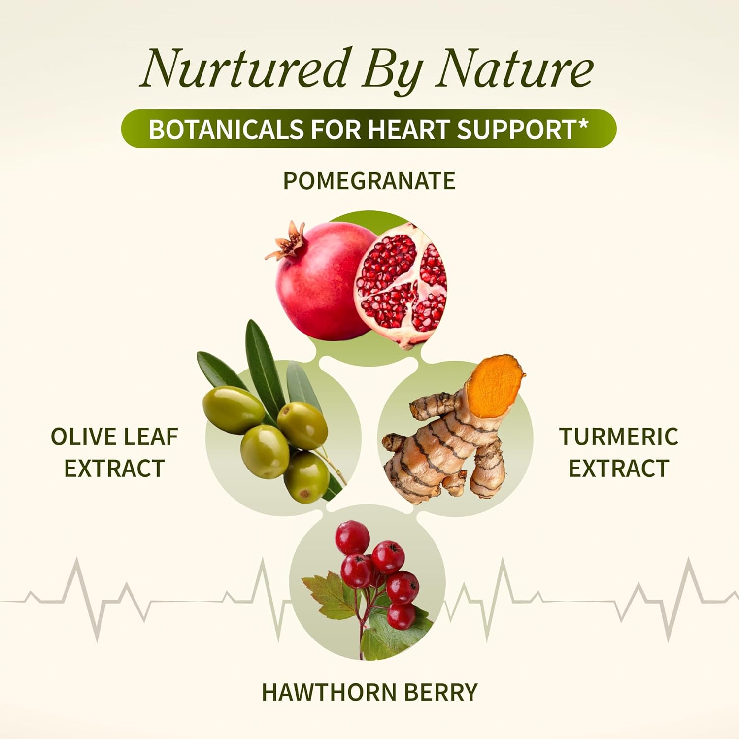 Illustration of botanicals for heart support with pomegranate, olive leaf extract, turmeric extract, and hawthorn berry on a light background.