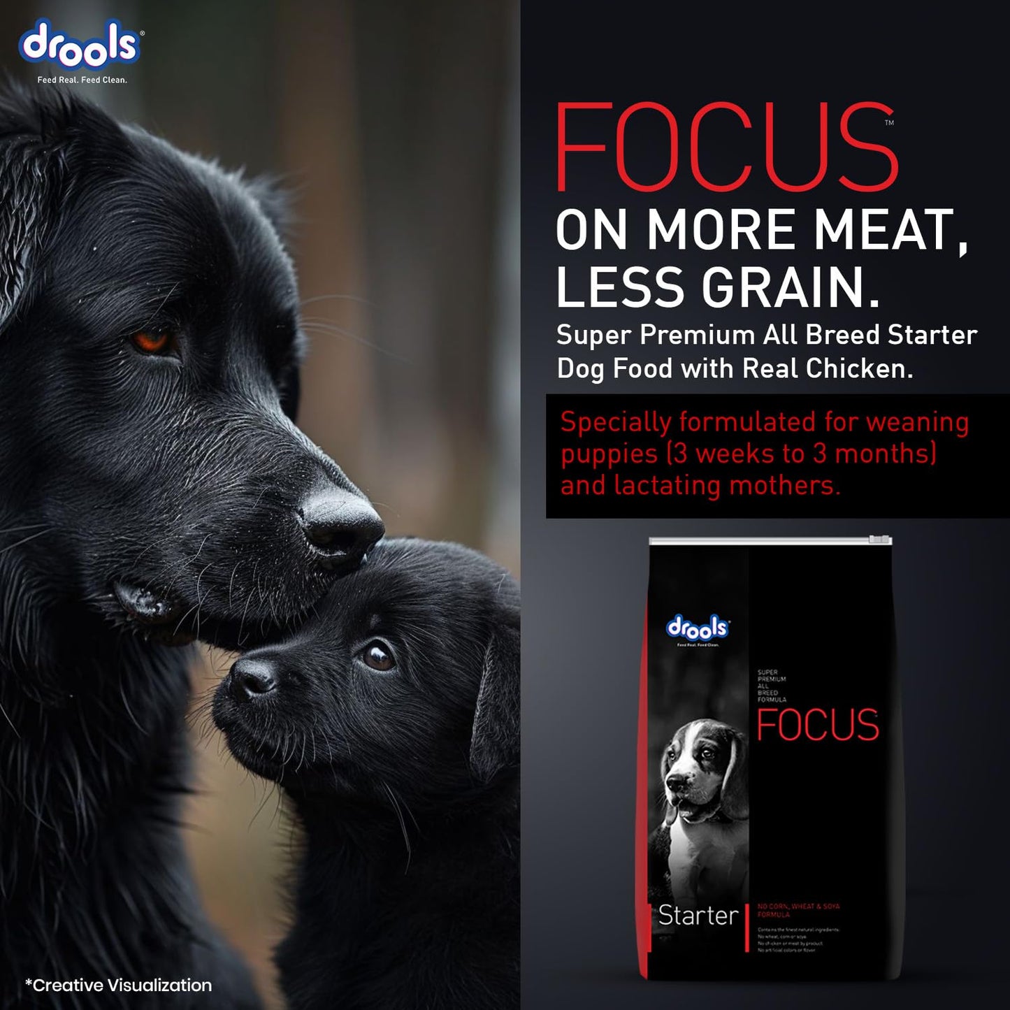 Drools Focus Starter Super Premium Dry Dog Food 1.2kg Pack | Chicken Flavour | Brain Development | Antioxidants like Vitamin E & C | Energy and Essential Nutrients