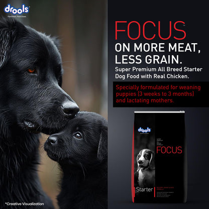 Drools Focus Starter Super Premium Dry Dog Food 1.2kg Pack | Chicken Flavour | Brain Development | Antioxidants like Vitamin E & C | Energy and Essential Nutrients