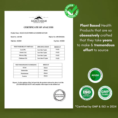 Certificate of Analysis for Rasayanam product on a green background with certification logos.