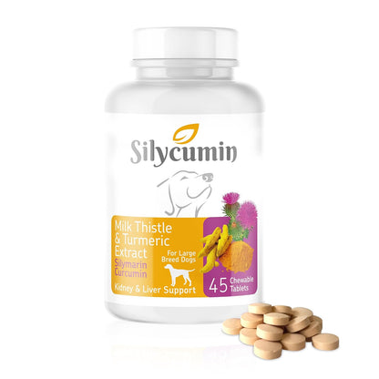 Bio PetActive Silycumin 1,5 g 45 Tablets Milk Thistle & Turmeric Extract Silymarin Curcumin Kidney & Liver Support Suitable for Large Breed Dogs