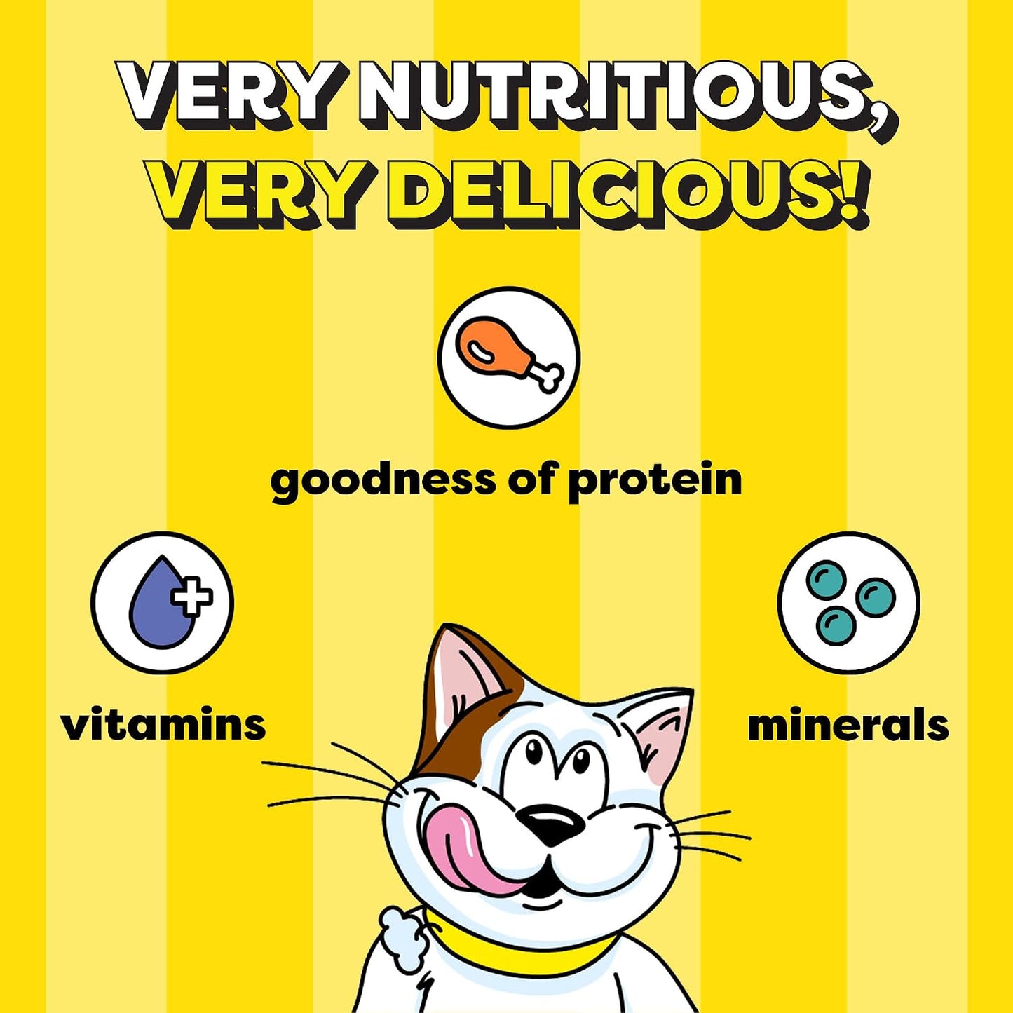Temptations Crunchy Cat Treats, Tasty Chicken Flavour, 85 g, Goodness of Protein, Vitamins & Minerals, Soft Inside Crunchy Outside