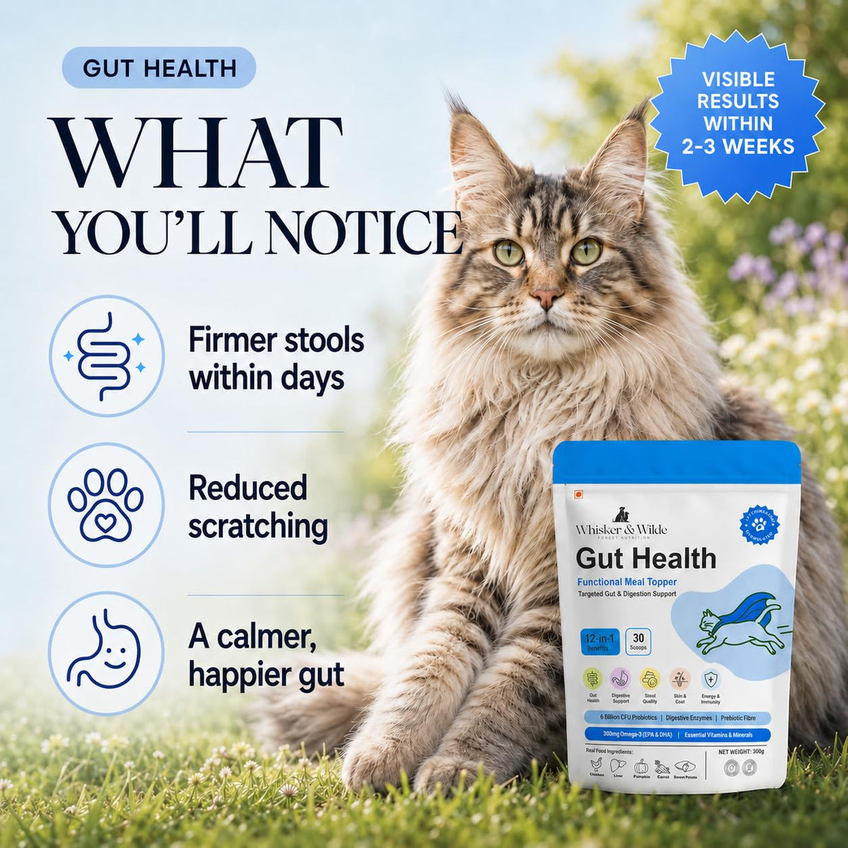 Whisker and Wilde Cat Gut Health Supplement | Targeted Gut Health Support | 6 Billion CFU Probiotics for Loose Stools, Vomiting, Gas and Paw Licking | L-Methionine for Urinary Health | 300g