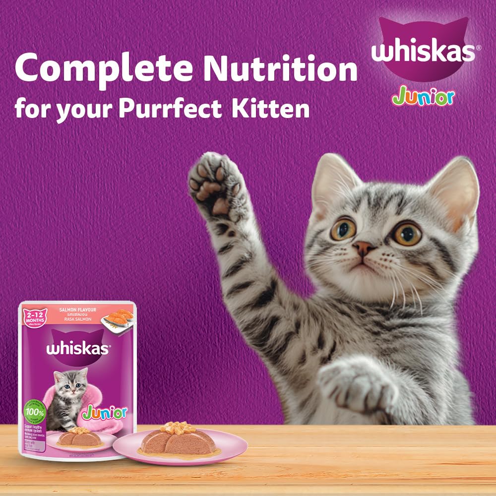 Whiskas Junior Kitten (2-12 Months) Wet Cat Food, Salmon in Jelly Flavour, 80 g, Hydrating Food Made with Real Fish, 100% Complete & Balanced Nutrition for Kittens