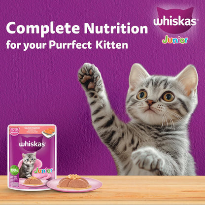 Whiskas Junior Kitten (2-12 Months) Wet Cat Food, Salmon in Jelly Flavour, 80 g, Hydrating Food Made with Real Fish, 100% Complete & Balanced Nutrition for Kittens