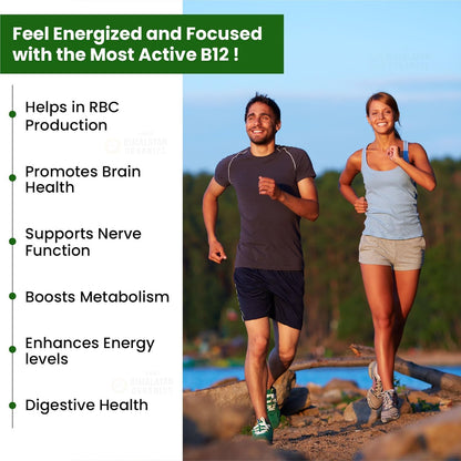 Vlado's Himalayan Organics Methylcobalamin Vitamin B12 1500mcg Supplement for Men & Women - 90 Veg Tablets