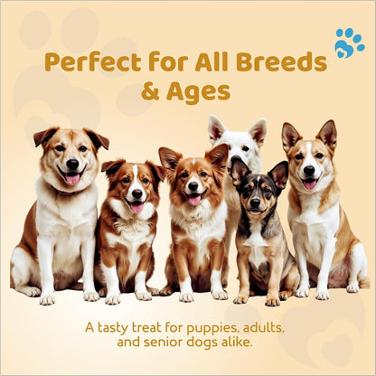 Petoska Chicken Meat Jerky Dog Treats – 100 g Natural High‑Protein Chewy Sticks for Puppies & Adult Dogs