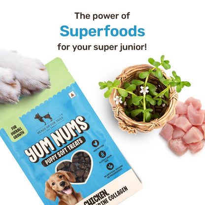 Yum Nums by HUFT Soft & Chewy Sticks - 70 gm| Chicken, Brahmi & Marine Collagen Puppy Treats | Healthy Dog Treats | Training Treats | High Protein, Joint Support