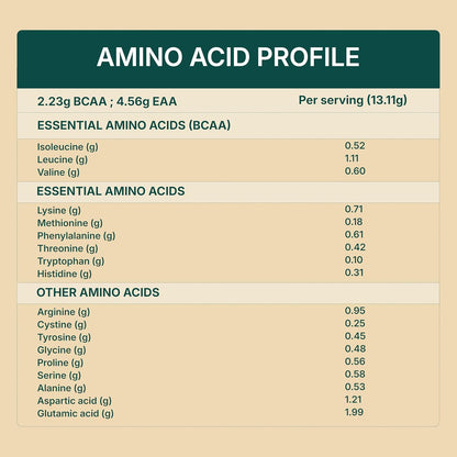 Good Monk Plant Protein for Rotis | Add to Atta - No Taste Change | 20 gm protein in 4 Rotis | From Pea, Brown Rice & Soy | Clean Protein & Gut Friendly Probiotics | All Essential Amino Acids | Stronger Muscles | No Added Sugar/Sweetener | 460 gm